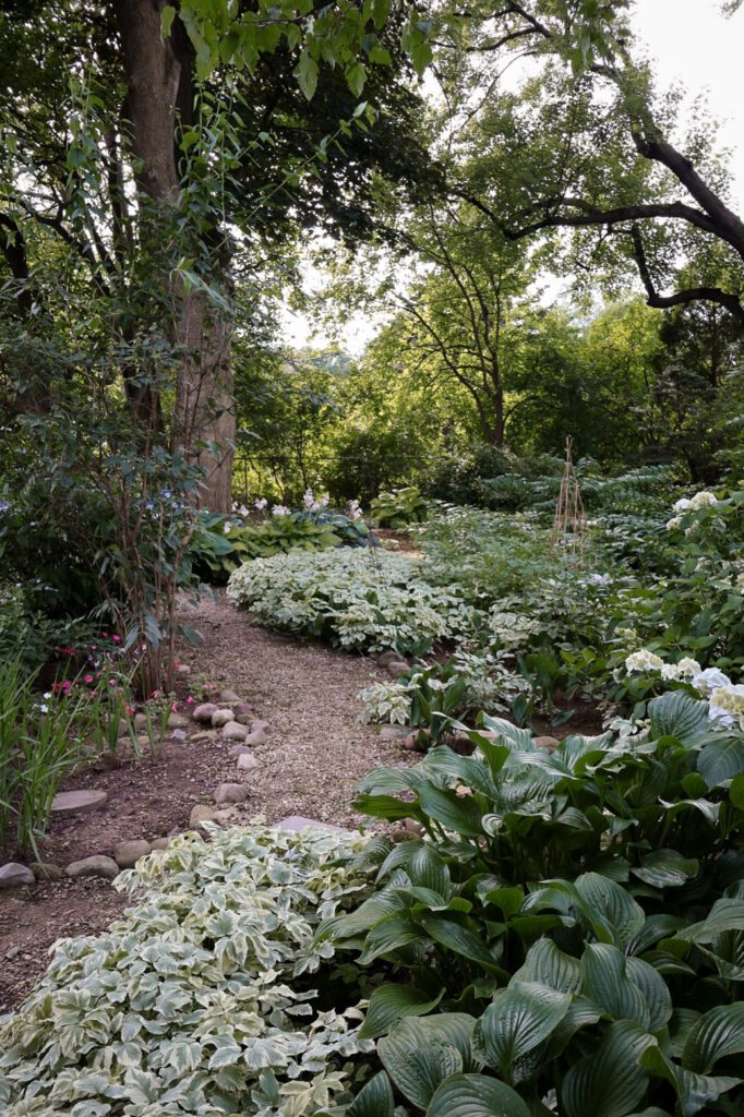 Vertical garden path landscape