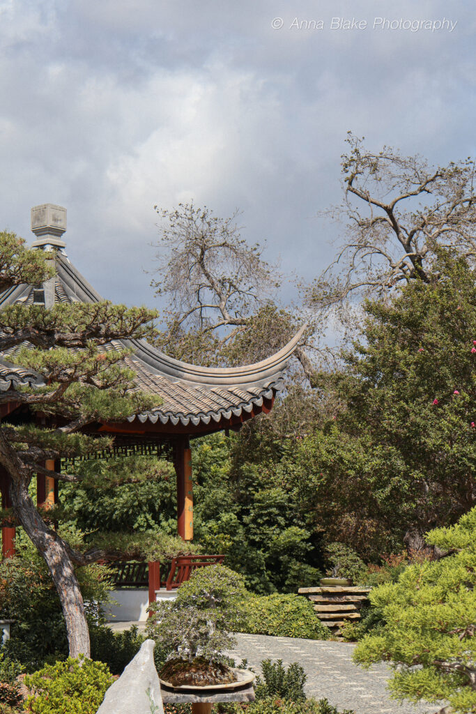 Chinese style house with bonsai tree in front of it